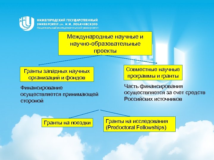 Ооо международные образовательные проекты