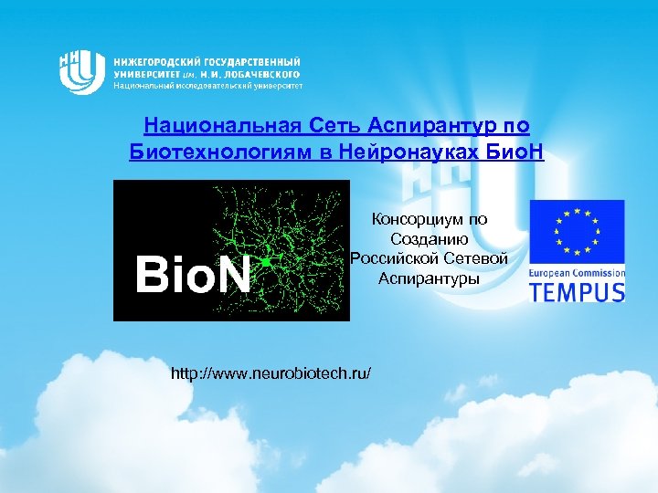 Национальная Сеть Аспирантур по Биотехнологиям в Нейронауках Био. Н Консорциум по Созданию Российской Сетевой