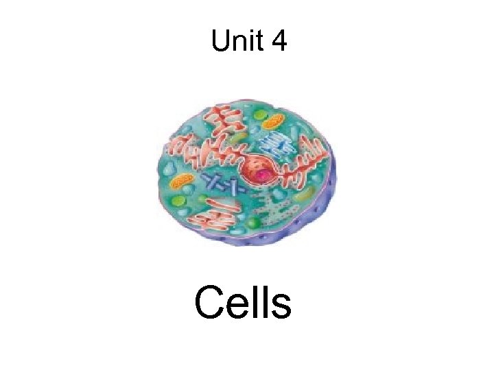 Unit 4 Cells 