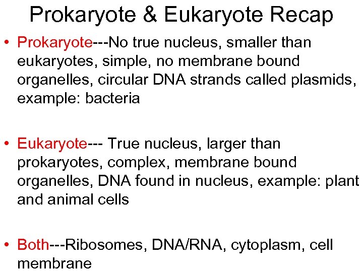 Prokaryote & Eukaryote Recap • Prokaryote---No true nucleus, smaller than eukaryotes, simple, no membrane