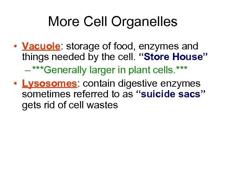 More Cell Organelles • Vacuole: storage of food, enzymes and things needed by the