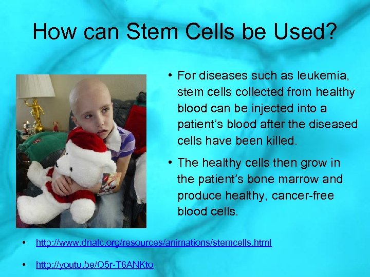 How can Stem Cells be Used? • For diseases such as leukemia, stem cells