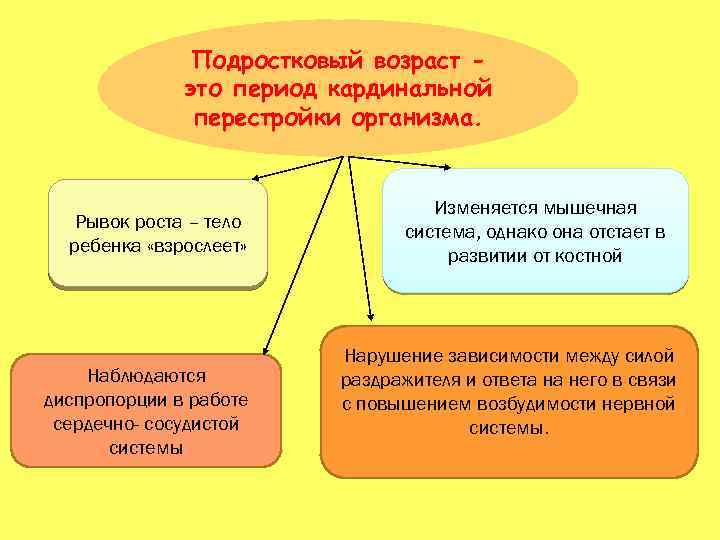 Подростковый возраст это период кардинальной перестройки организма. Рывок роста – тело ребенка «взрослеет» Наблюдаются