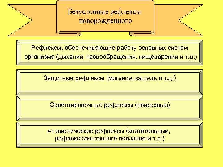 Безусловные рефлексы новорожденного Рефлексы, обеспечивающие работу основных систем организма (дыхания, кровообращения, пищеварения и т.