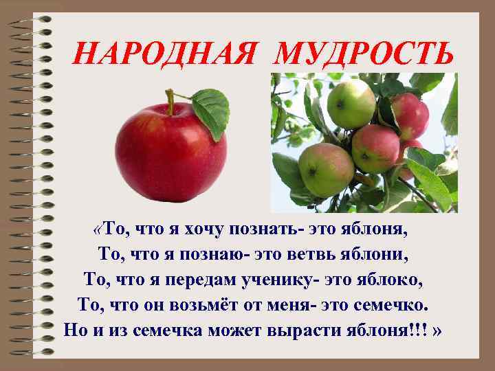 НАРОДНАЯ МУДРОСТЬ «То, что я хочу познать- это яблоня, То, что я познаю- это