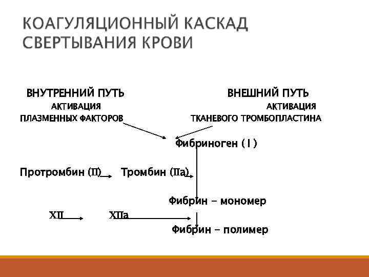 ВНУТРЕННИЙ ПУТЬ ВНЕШНИЙ ПУТЬ АКТИВАЦИЯ ПЛАЗМЕННЫХ ФАКТОРОВ АКТИВАЦИЯ ТКАНЕВОГО ТРОМБОПЛАСТИНА Фибриноген ( I )