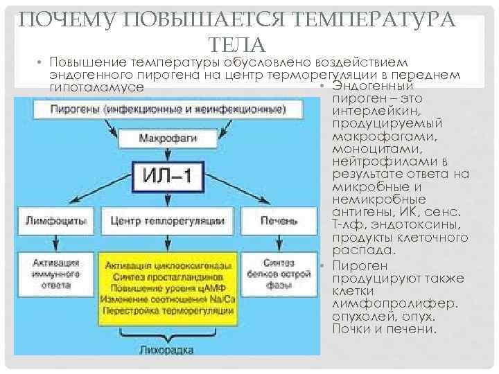 ПОЧЕМУ ПОВЫШАЕТСЯ ТЕМПЕРАТУРА ТЕЛА • Повышение температуры обусловлено воздействием эндогенного пирогена на центр терморегуляции