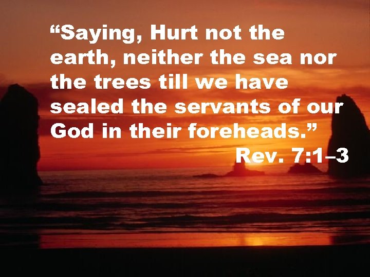 “Saying, Hurt not the earth, neither the sea nor the trees till we have