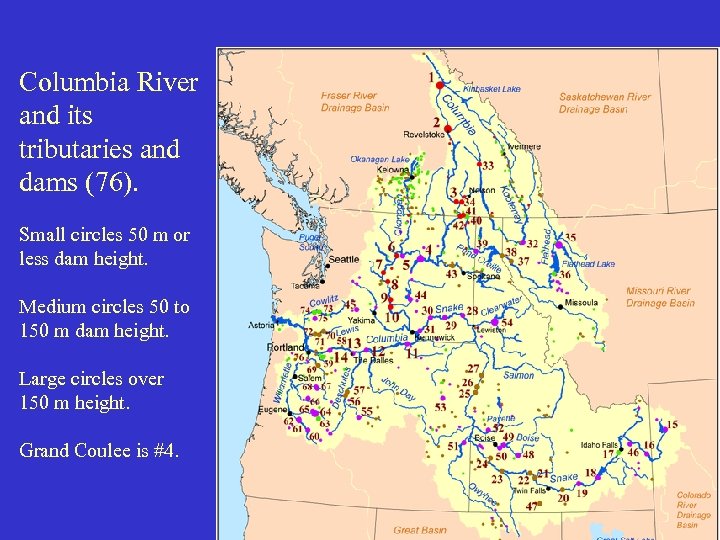 Columbia River and its tributaries and dams (76). Small circles 50 m or less