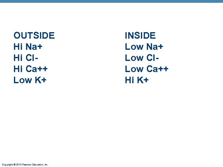 OUTSIDE Hi Na+ Hi Cl. Hi Ca++ Low K+ Copyright © 2010 Pearson Education,