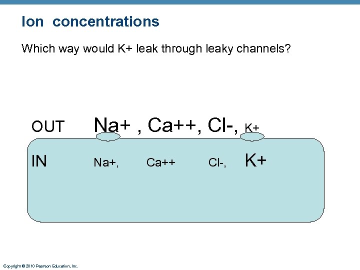 Ion concentrations Which way would K+ leak through leaky channels? OUT Na+ , Ca++,
