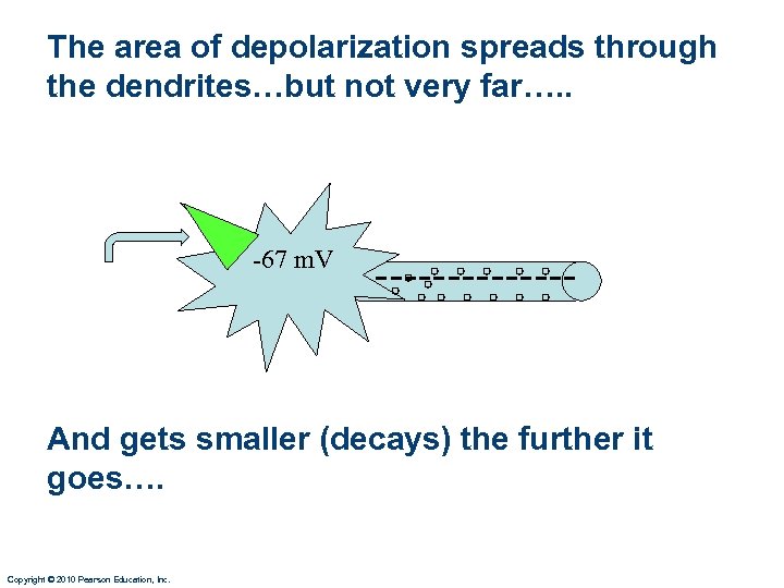 The area of depolarization spreads through the dendrites…but not very far…. . -67 m.