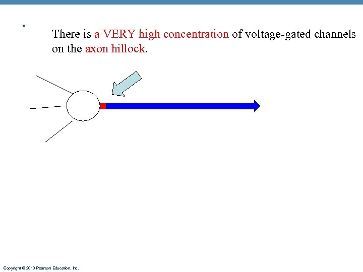 . There is a VERY high concentration of voltage-gated channels on the axon hillock.