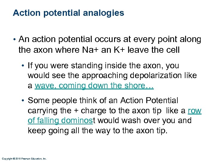 Action potential analogies • An action potential occurs at every point along the axon