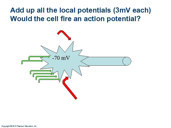 Add up all the local potentials (3 m. V each) Would the cell fire