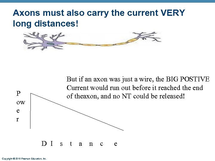 Axons must also carry the current VERY long distances! But if an axon was