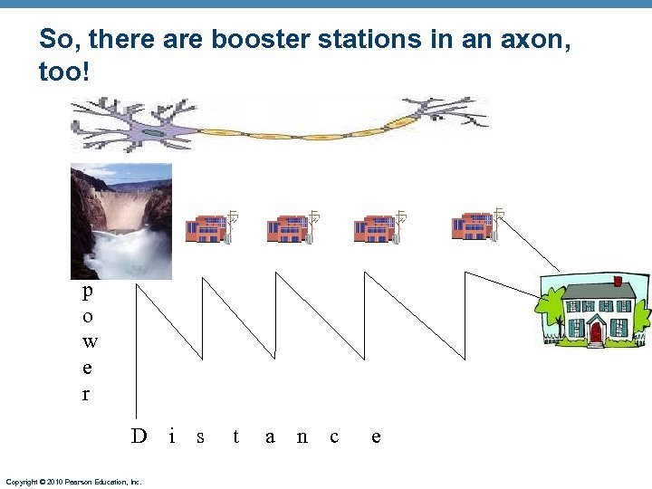 So, there are booster stations in an axon, too! p o w e r