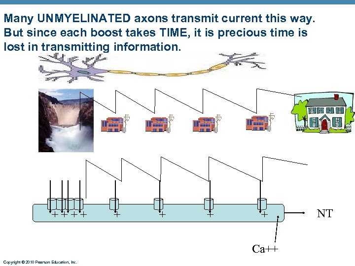 Many UNMYELINATED axons transmit current this way. But since each boost takes TIME, it