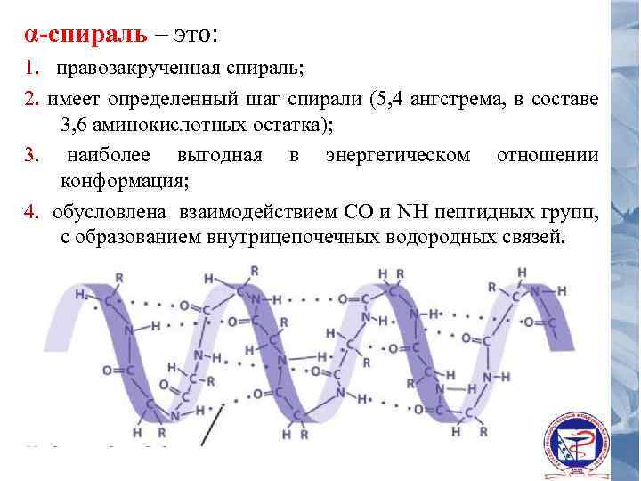 α-спираль – это: 1. правозакрученная спираль; 2. имеет определенный шаг спирали (5, 4 ангстрема,