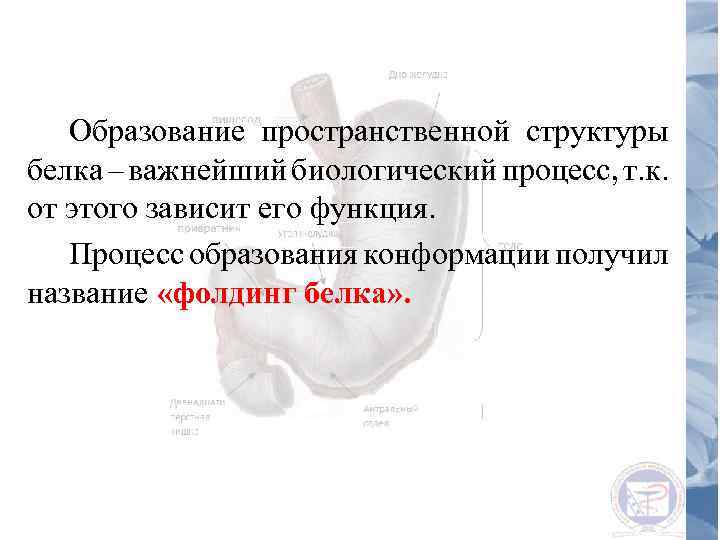 Образование пространственной структуры белка – важнейший биологический процесс, т. к. от этого зависит его