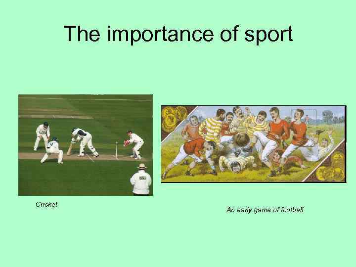 The importance of sport Cricket An early game of football 