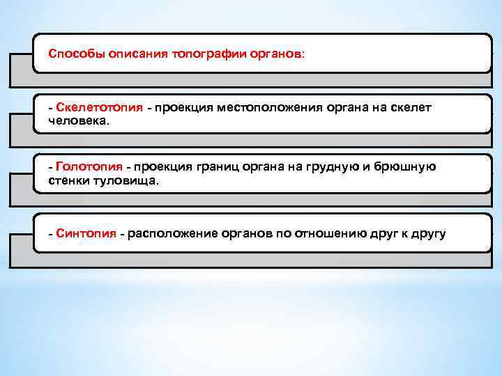 Способы описания топографии органов: Скелетотопия проекция местоположения органа на скелет человека. Голотопия проекция границ