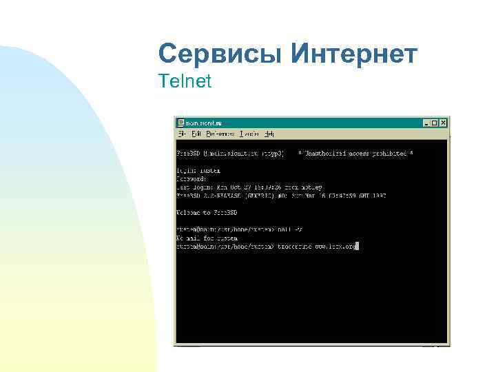 Сервисы Интернет Telnet 