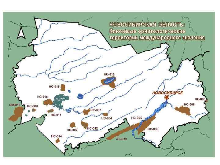 Карта новосибирской области с реками