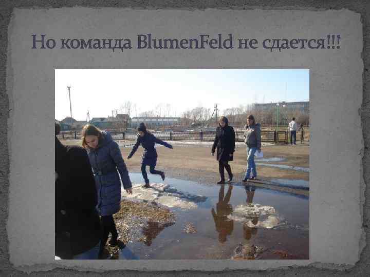 Но команда Blumen. Feld не сдается!!! 