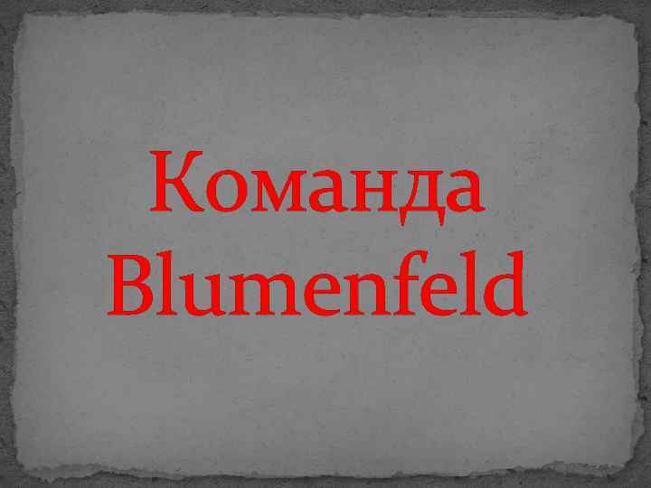 Команда Blumenfeld 