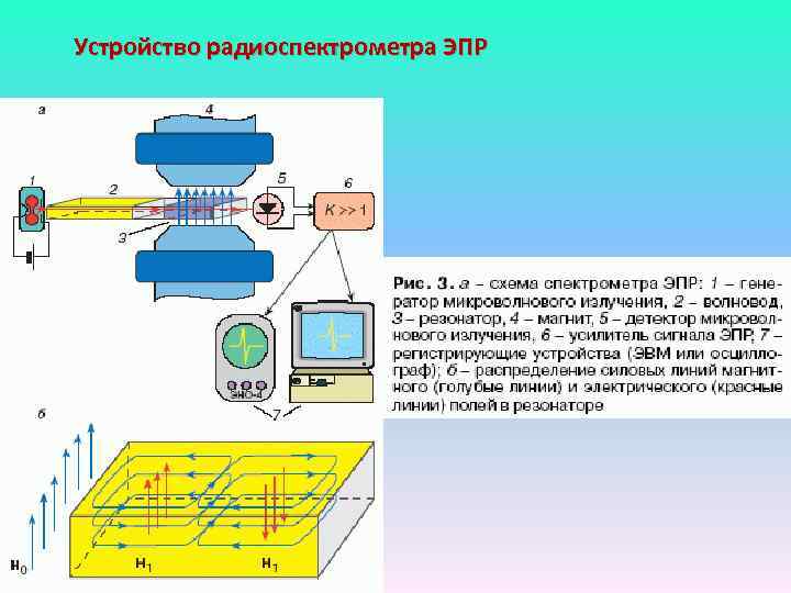 Устройство радиоспектрометра ЭПР 