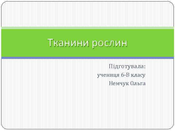 Тканини рослин Підготувала: учениця 6 -В класу Немчук Ольга 