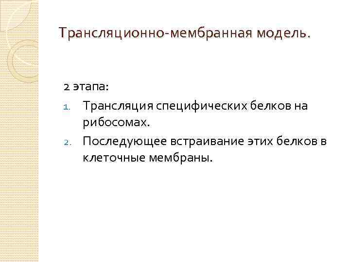 Трансляционно-мембранная модель. 2 этапа: 1. Трансляция специфических белков на рибосомах. 2. Последующее встраивание этих