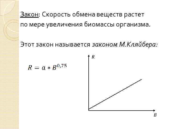 Закон: Скорость обмена веществ растет по мере увеличения биомассы организма. Этот закон называется законом