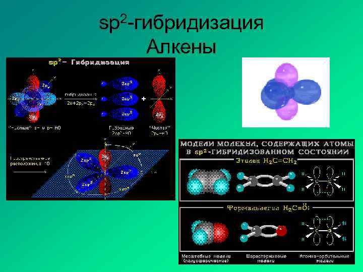 sp 2 -гибридизация Алкены 