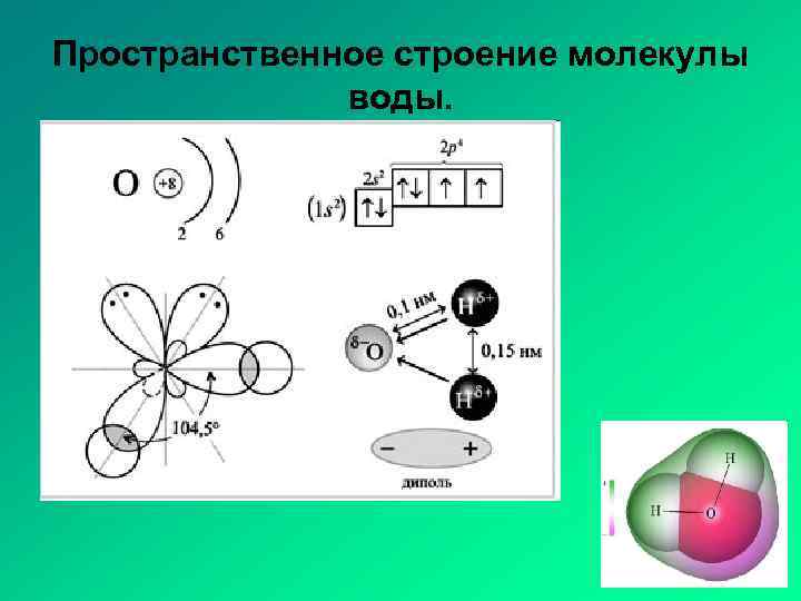 Пространственное строение молекулы воды. 
