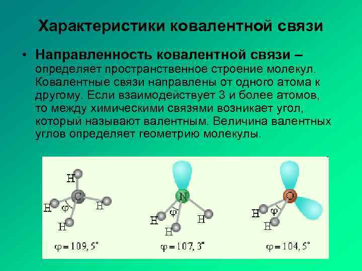 Характеристики ковалентной связи • Направленность ковалентной связи – определяет пространственное строение молекул. Ковалентные связи