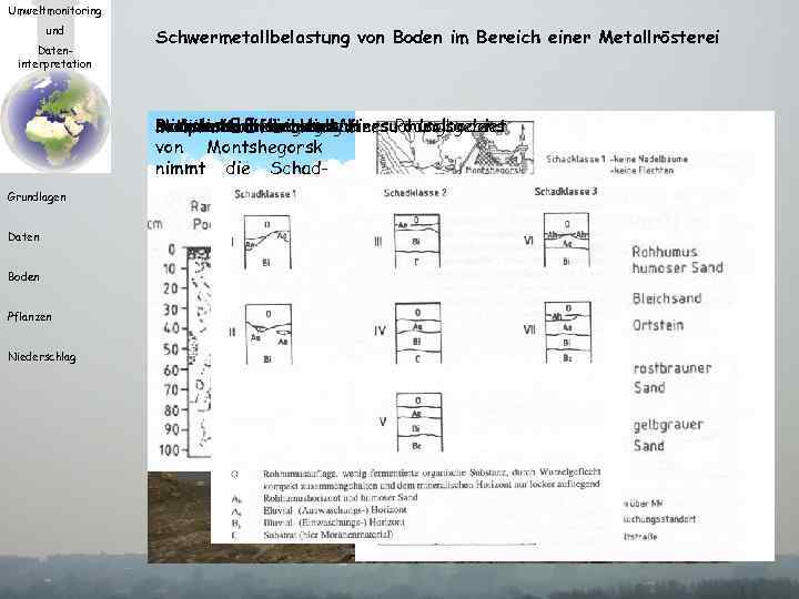 Umweltmonitoring und Dateninterpretation Grundlagen Daten Schwermetallbelastung von Boden im Bereich einer Metallrösterei mit der