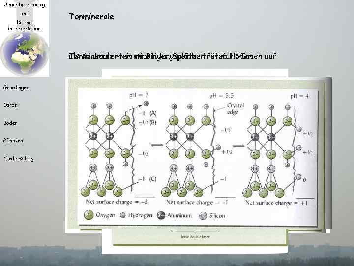 Umweltmonitoring und Dateninterpretation Tonminerale als Konkurrenten wichtiger Speicher für Kationen Tonminerale – ein um