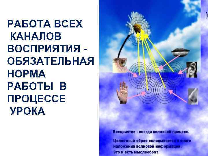 РАБОТА ВСЕХ КАНАЛОВ ВОСПРИЯТИЯ ОБЯЗАТЕЛЬНАЯ НОРМА РАБОТЫ В ПРОЦЕССЕ УРОКА 