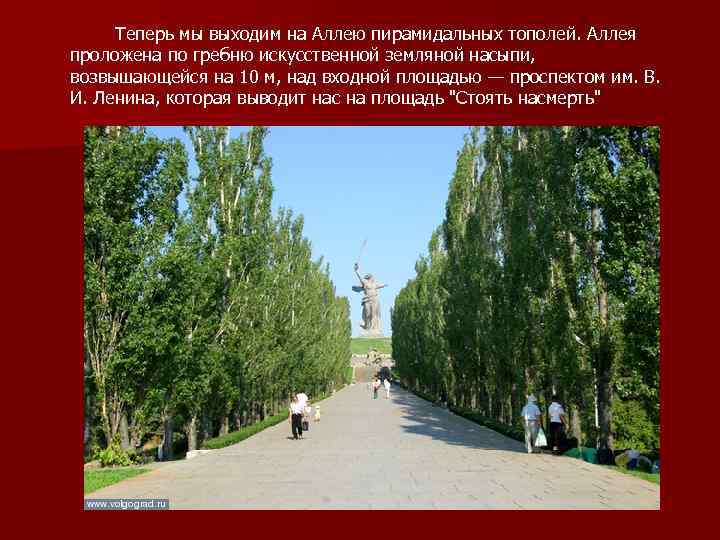 Теперь мы выходим на Аллею пирамидальных тополей. Аллея проложена по гребню искусственной земляной насыпи,