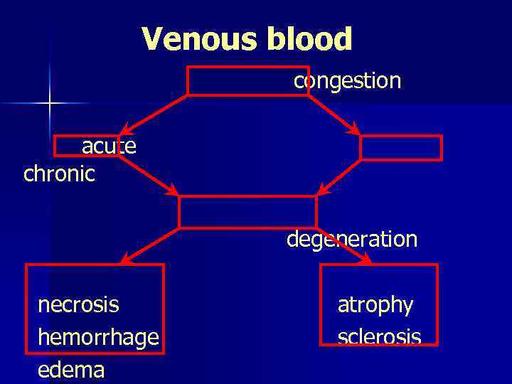 Venous blood congestion acute chronic degeneration necrosis hemorrhage edema atrophy sclerosis 