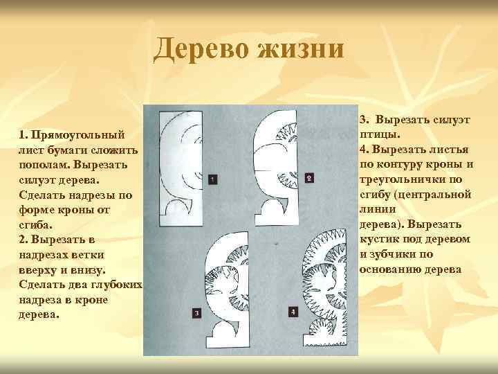 Дерево жизни 1. Прямоугольный лист бумаги сложить пополам. Вырезать силуэт дерева. Сделать надрезы по