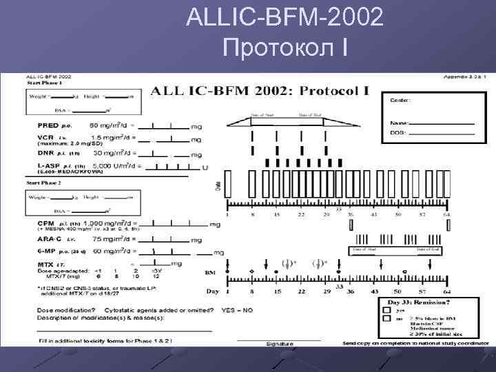 ALLIС-BFM-2002 Протокол I 