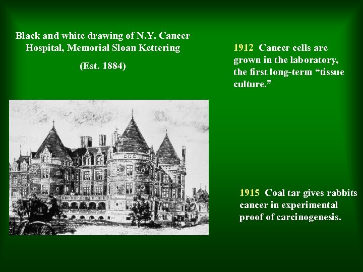 Black and white drawing of N. Y. Cancer Hospital, Memorial Sloan Kettering (Est. 1884)