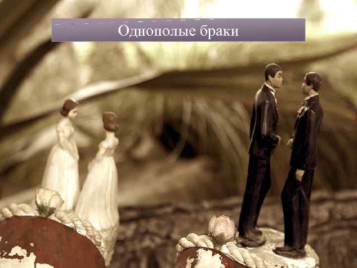 Однополые браки 
