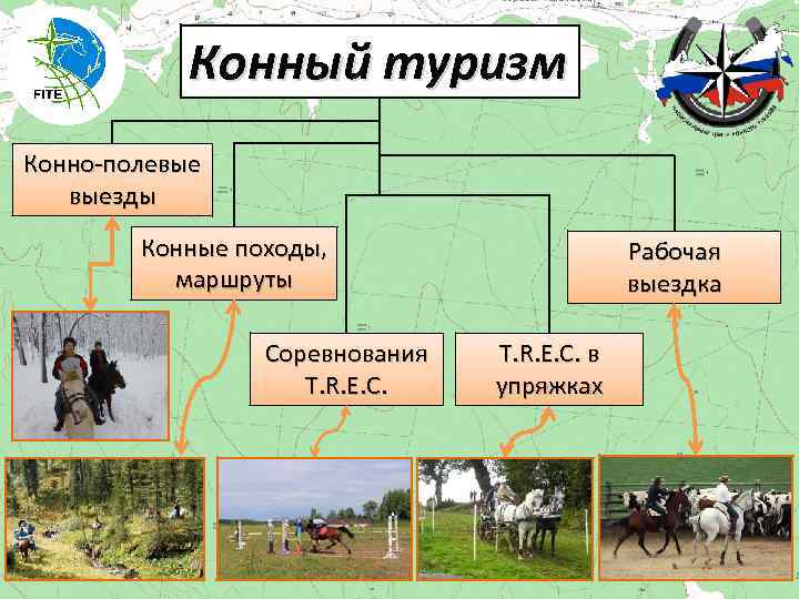 Конный туризм Конно-полевые выезды Конные походы, маршруты Соревнования T. R. E. C. Рабочая выездка