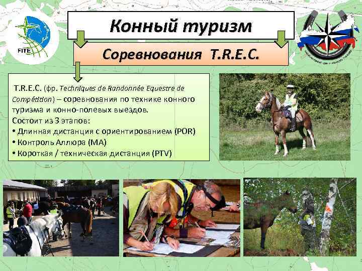 Конный туризм Соревнования T. R. E. C. (фр. Techniques de Randonnée Equestre de Compétition)