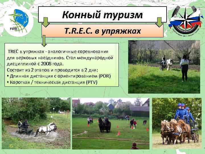 Конный туризм T. R. E. C. в упряжках TREC в упряжках - аналогичные соревнования