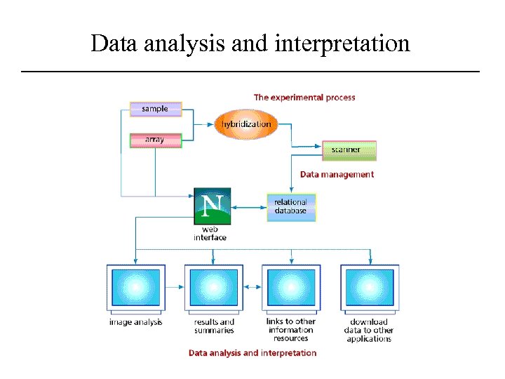 Data analysis and interpretation 